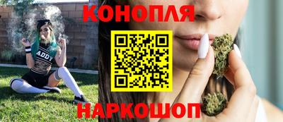 Альфа ПВП Камышлов