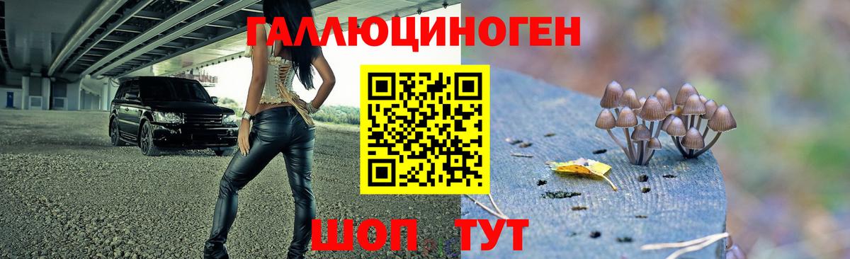 Псилоцибиновые грибы Cubensis  Псилоцибиновые грибы Psilocybine cubensis  Вход с VPN  Мичуринск 