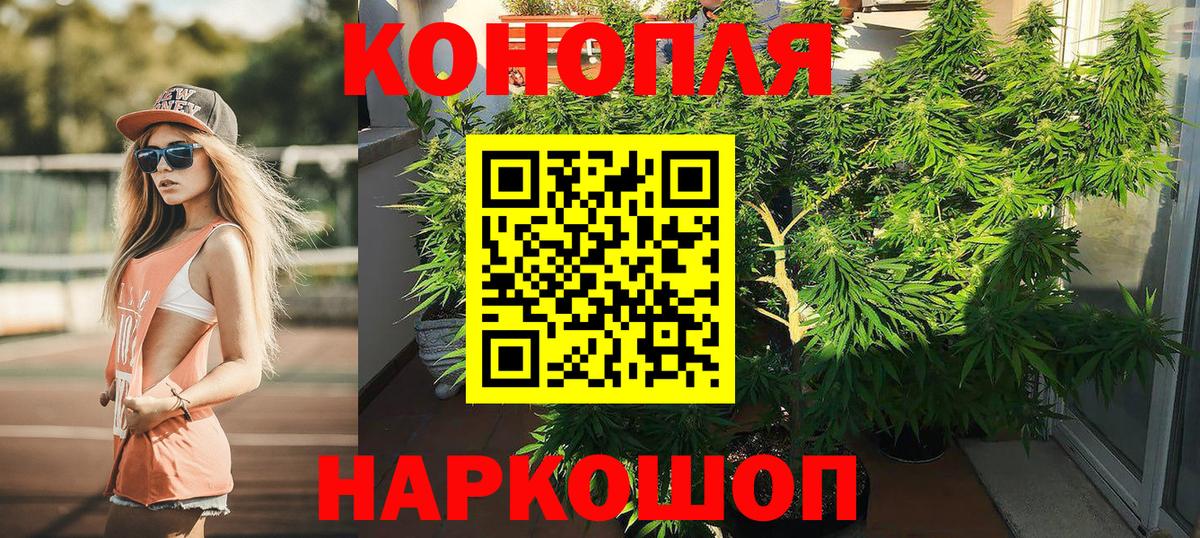 МАРИХУАНА конопля  Канабис конопля  Бошки Шишки семена  Вход с VPN  Мичуринск 